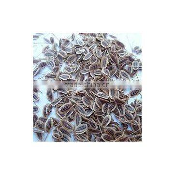 Dill Oil(Katyani Exports)