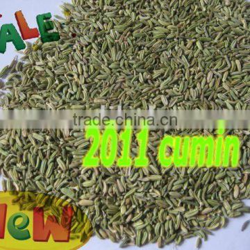 Chinese spice cumin high quality good pice