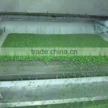 New Crop 2015 Frozen Green Peas photo-2