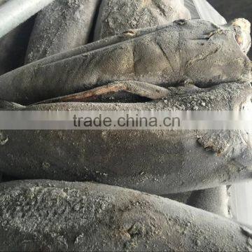 Good Quality Frozen HGT Hamachi in 2016 photo-3