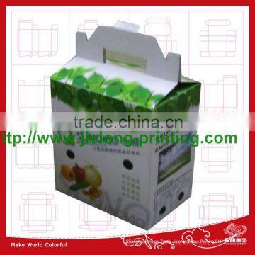 40 Years' Experiences to Produce Custom Printed Fruit Carton