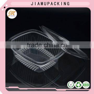 Hot Selling Disposable Clear Plastic Fruit Container