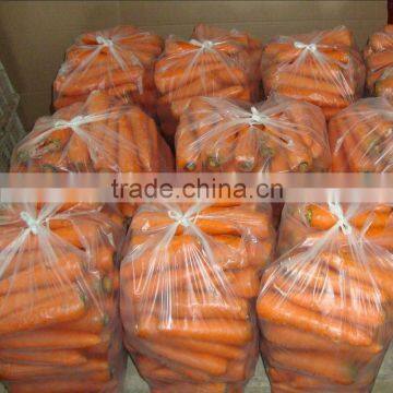 red carrot for sale