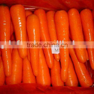 Supply Carrot