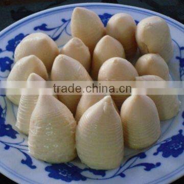 567g Canned whole bamboo shoot product in brine in tin