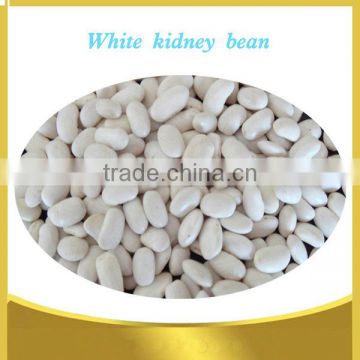 White kidney beans (Japanese type)