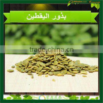 China Pumpkin Kernel High Quality Big Quantity Grade AA photo-4