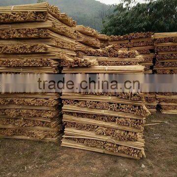 Low Offer of Eucalyptus stake - Kego Ltd, Vietnam