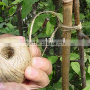 Nature jute twine with competitive price