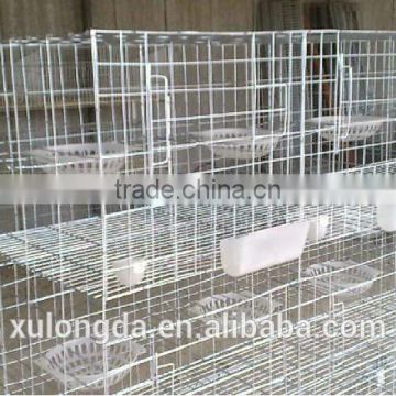 double breeding bird cage