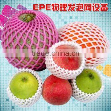 Life-long Maintenance CE Approved PE Foam Fruit Net Extrusion Machine photo-5