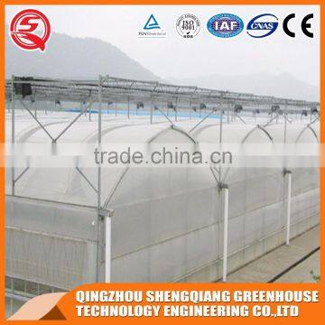 China Direct Plastic Greenhouse for Plant Tomato and Flowers photo-5