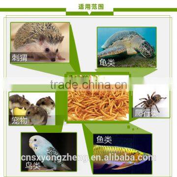 Dried Mealworms,Birds Food & aquarium fish food