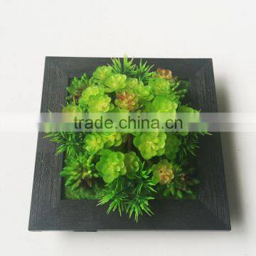 Wholesale Ornamental Plants Small Plastic Succulent Plant Bonsai