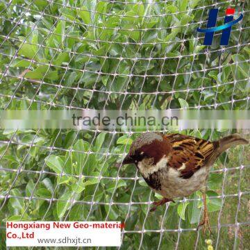 Plastic Two-way Stretch Net Used for Used for Gypsum Reinforced/Wall Plaster Reinforced photo-2