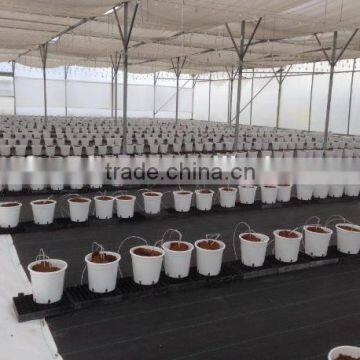 Eco-friendly Ground Cover photo-6