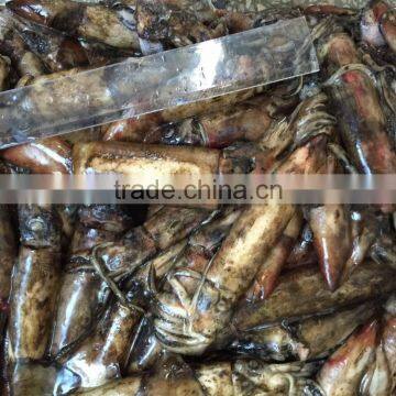 Frozen Squid photo-2