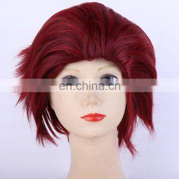 Fashion Short Wig Cosplay Party Straight Cosplay Party Wig photo-3