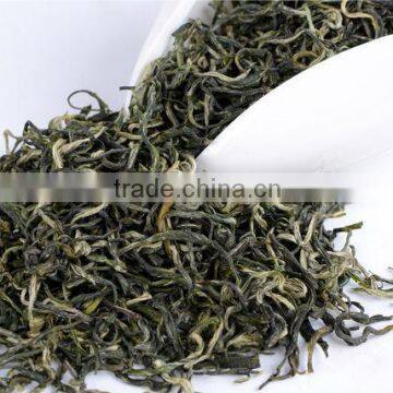 biluochun/green snail spring tea orgainc tea