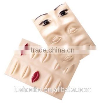 High quality 3D rubber beauty skin practice skin for lip and eyebrow