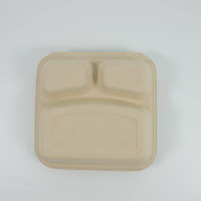 Disposable Lunch Box Salad Box Burger Box photo-5