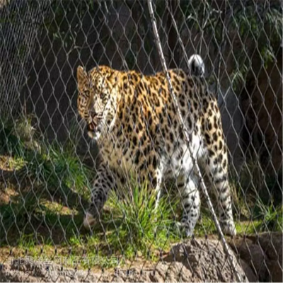 316/304 Zoo Wire Mesh Fence Stainless Steel Rope Mesh