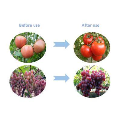 Factory Price Auxin S-abscisic Acid S-ABA 90%TC Plant Growth Regulator photo-3