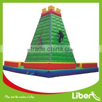 2014 new Inflatable Bouncer colorful commercial PVC castle LE.CQ.094