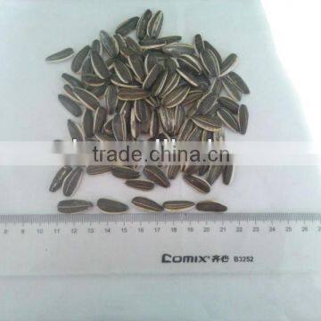 Delicious hulled confectionery sunflower seed for sale