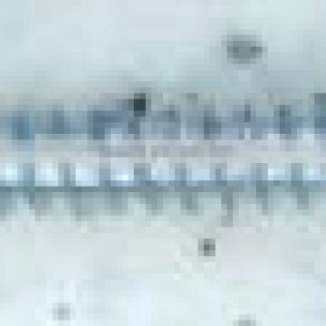 CHINA CHEAP DIN7981 PHILLIPS PAN HEAD TAPPING SCREW photo-4