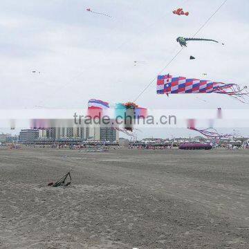 high quality customed windsock