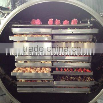 vacuum freeze dryer for food