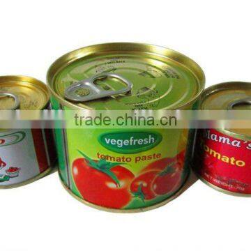 canned 1000g tomato paste 22-24% factory made in China