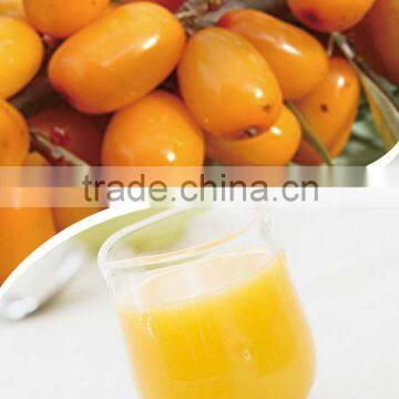 100% purity seabuckthorn juice