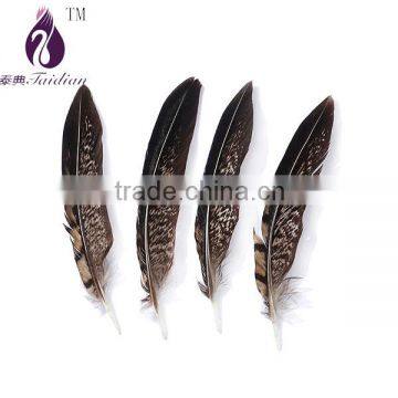 wing feather,natural color pheasant feathers