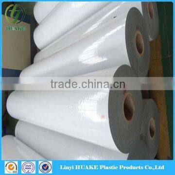 Hot Sale Transparent Film for PPGI, Transparent Film for PMMA