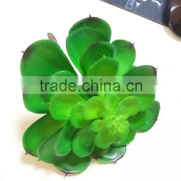 Popular High Simulation Artificial Succulent Plant From China Manufacture photo-4