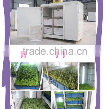 high efficient automatic bean sprout machine