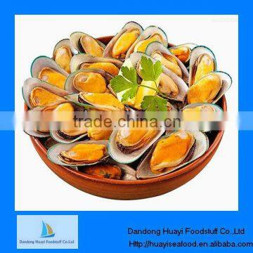 High quality frozen mussel