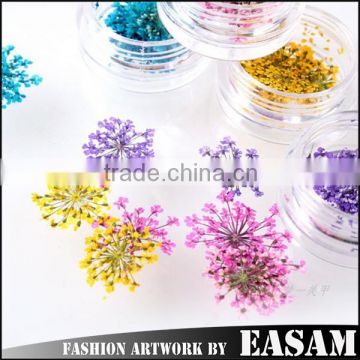 Easam hot nail art dry flower decoration DIY flower dry for nail art