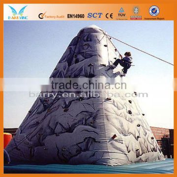 Plastic kids rock climbing wall