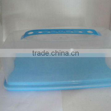 Plastic portable rectangular cake box