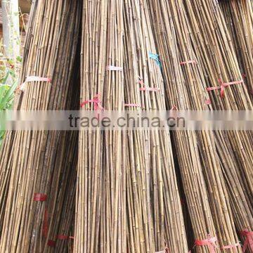 Good Quality Raw Bamboo Poles and Hot Sale Best Quality Hydroponic Bamboo Poles