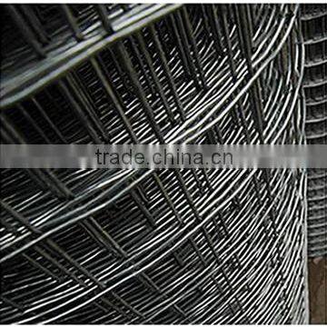 Euro holland wire mesh/welded wire mesh fencing mesh