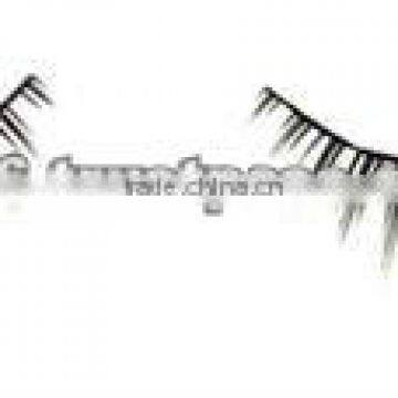 False Eyelash