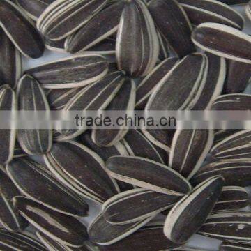 sunflower seeds