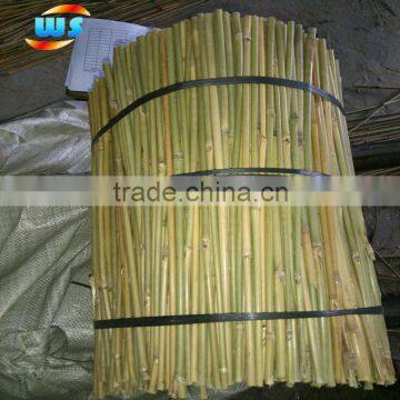 Bamboo Tools/The quality of the netherlands' bamboo canes WS 45cm 8-10mm