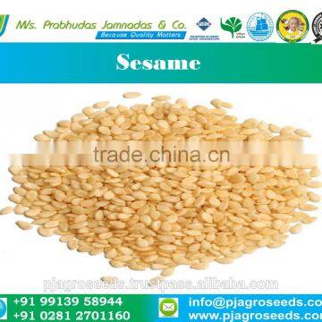 Hulled Sesame Seeds From India