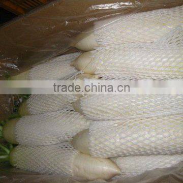 Hot Sale Radish photo-4