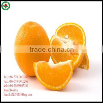 Chinese Fresh Navel Orange